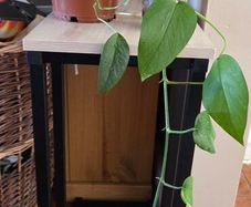 Plants set