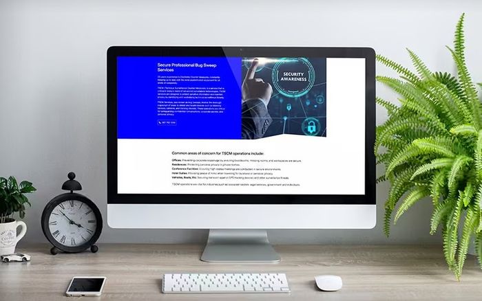 Web design and development services