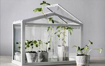 Ikea socker table top greenhouse