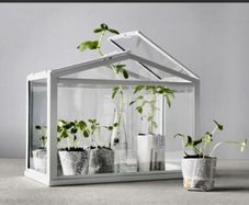 Ikea socker table top greenhouse