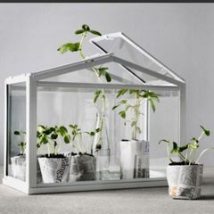 Ikea socker table top greenhouse