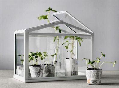 Ikea socker table top greenhouse