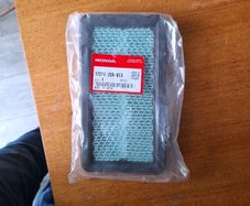 Honda Rideon Air Filter