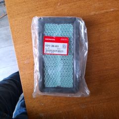 Honda Rideon Air Filter