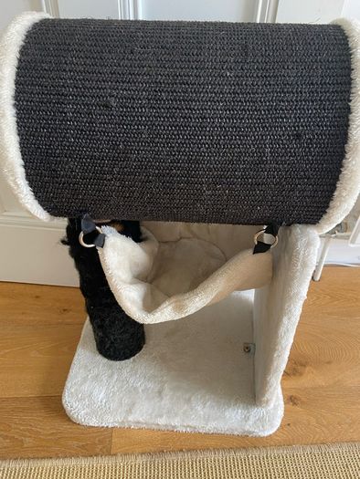 Cat scratch and play post