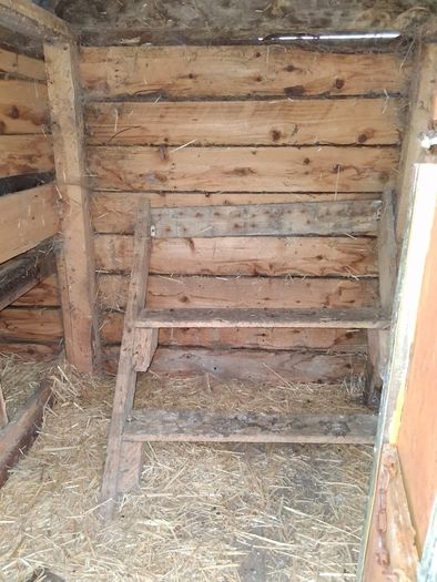 Hen House