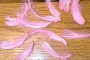 pink feathers