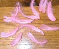 pink feathers