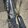 Fuji absolute size L Image 5