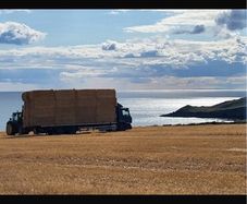 Straw and Hay