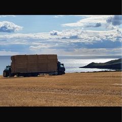 Straw and Hay
