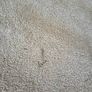 rug Image 7