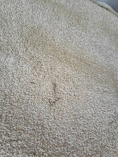 rug