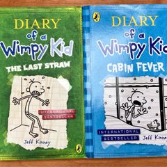 Diary Of A Wimpy Kid Books 3 & 6 The Third Wheel & Cabin Fever  by Jeff Kinney