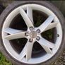 AUDI //  19" S Line Y Spoke Speedline Alloy Wheels Image 3