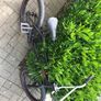 Bmx Wtp Image 4