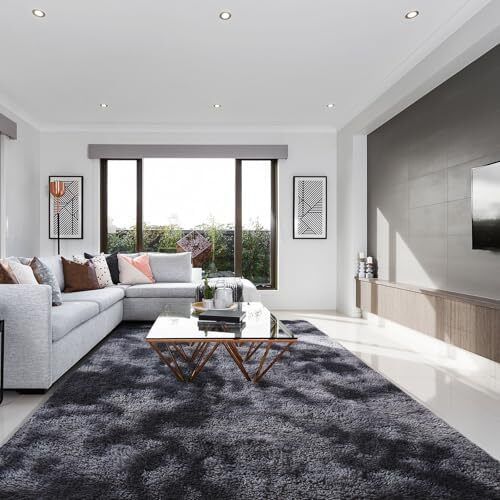 Living Room Rugs