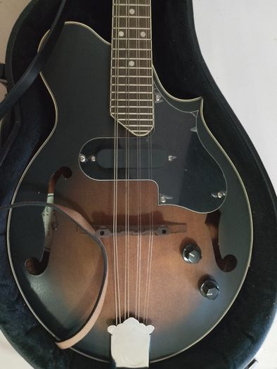 Tanglewood Electric Mandolin