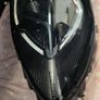 ford puma headlight 2025 RH side Image 2