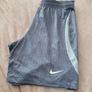 Nike Dri Fit shorts Image 2