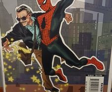 Stan Lee Meets.... Full 5 Issue Set
