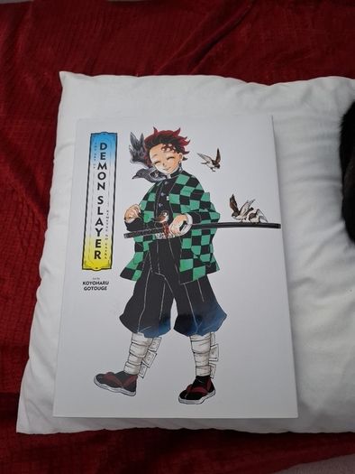 Demon Slayer