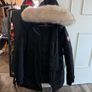 Canada Goose Image 2