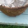 hanging baskets Image 4