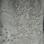 BNWT Communion/Special Occasion dress Image 3