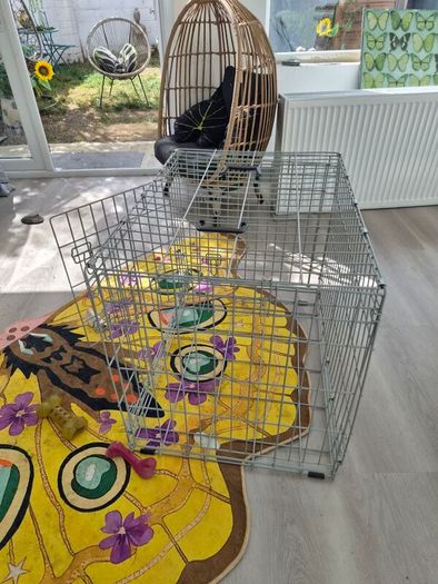 Dog crate Medium