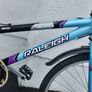 Female Raleigh Bike Image 5