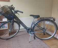 Raleigh Pioneer Ladies Bike