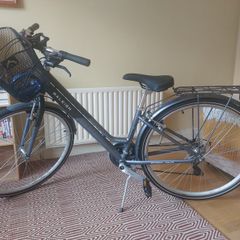 Raleigh Pioneer Ladies Bike