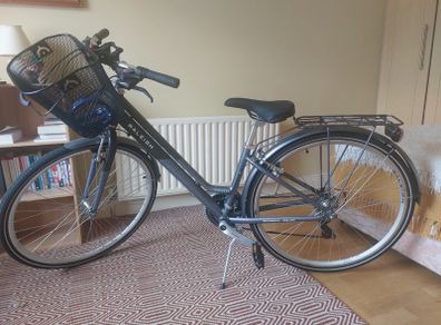 Raleigh Pioneer Ladies Bike