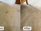 Sofa, Carpet & Upholstery Cleaning Image 3