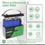 12V 100Ah LiFePO4 Portable Deep Cycle Battery, Built-in Intelligent BMS & 10000+ Cycles for RV Applications Image 2