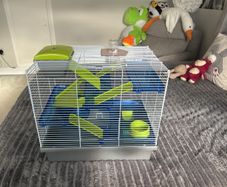 hamster cage