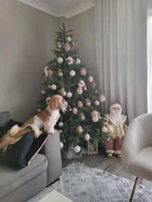 Christmas tree