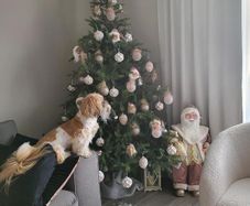 Christmas tree