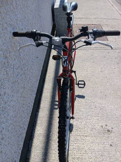 Adults Bike
