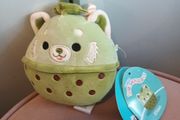 Original squashmallow