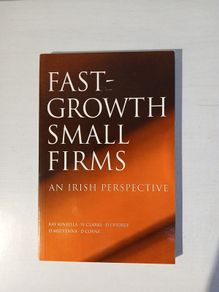 Fast-Growth Small Firms - An Irish Perspective