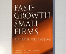Fast-Growth Small Firms - An Irish Perspective