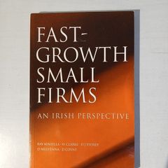 Fast-Growth Small Firms - An Irish Perspective