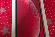Empty box for iPhone XR