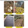 Garden Fence Barrier for Dogs,1x20m Snow Fence Plastic Mesh Fencing Roll [Heavy Duty] Safety Temporary Fencing,Garden Mesh Border Fence Reusable for Yard Vegetable Poultry Rabbit Chicken-Green Image 7