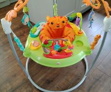 Rainforest Jumperoo