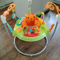 Rainforest Jumperoo