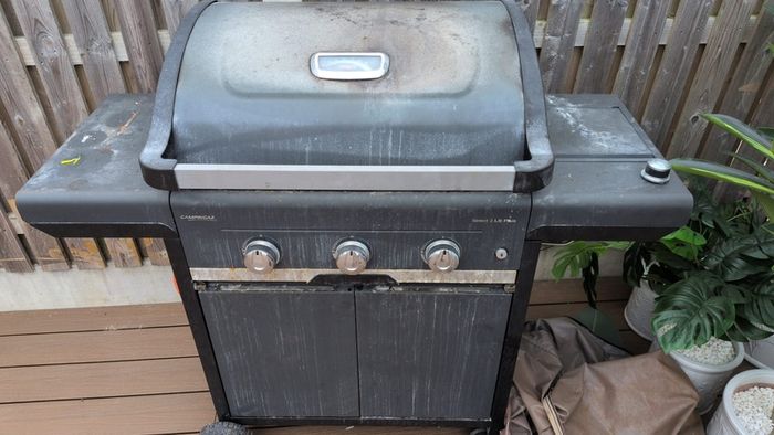 2 gas bbq grill