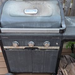 2 gas bbq grill
